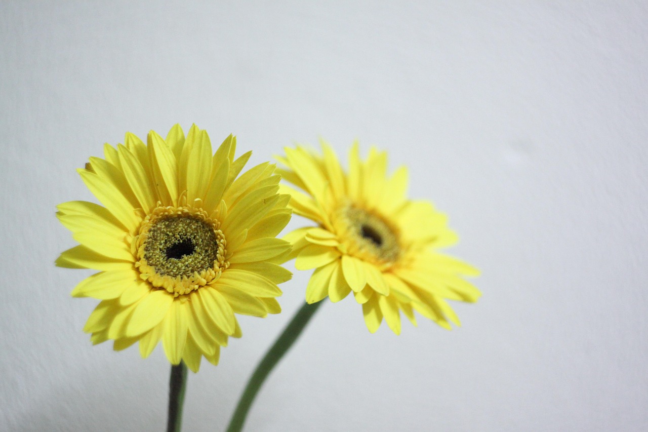 Meebook M7의 모든 것 알아보기