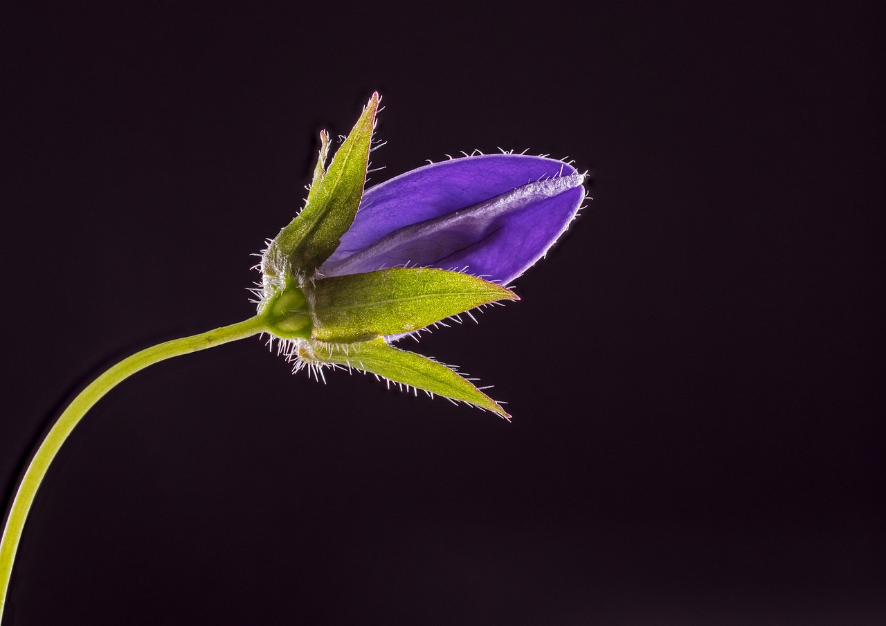 입술 갈라짐의 원인과 효과적인 관리법 알아보기