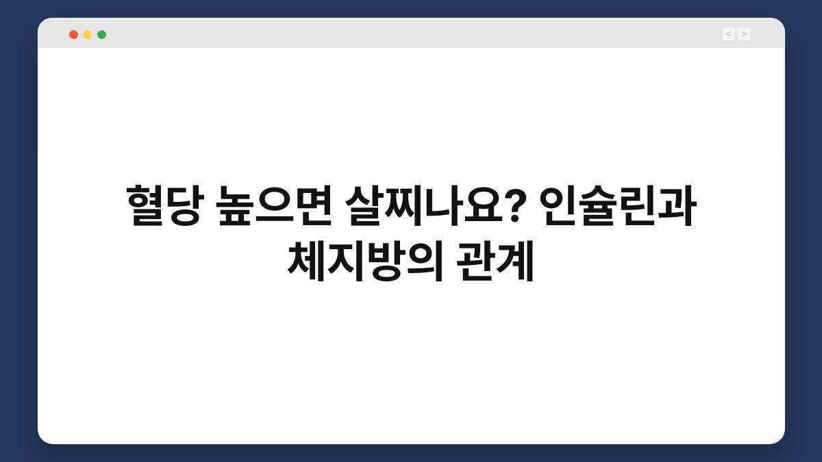 혈당 높으면 살찌나요? 인슐린과 체지방의 관계